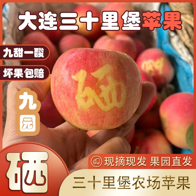 【硒】九园三十里堡农场硒富士苹果 果味浓汁水充足现摘现发