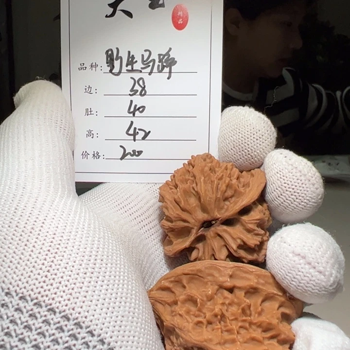文玩核桃把件野生马蹄62