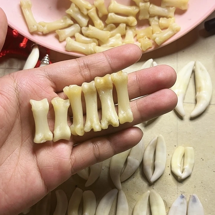 非金属无原生趾骨3对