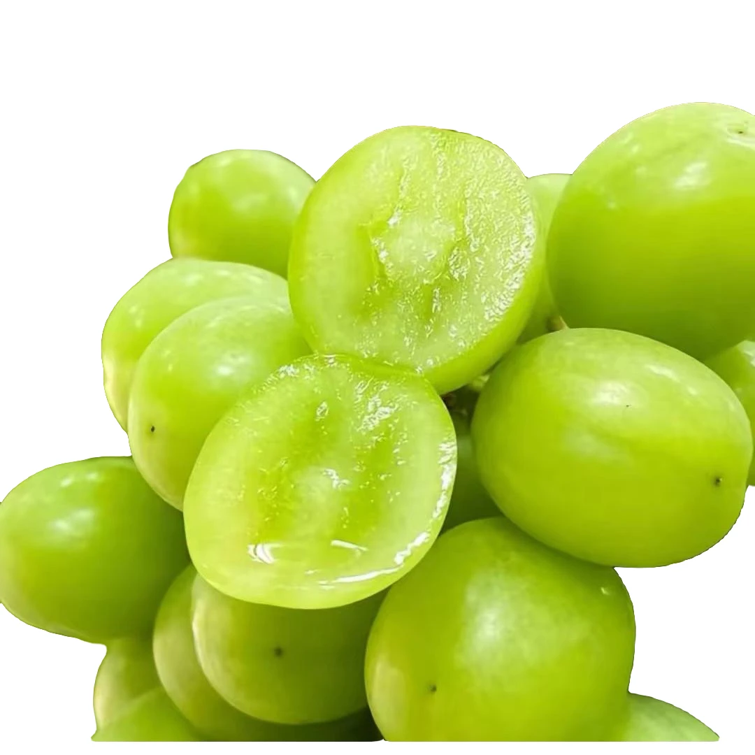 阳光玫瑰葡萄（1篮3斤左右）25元河南省