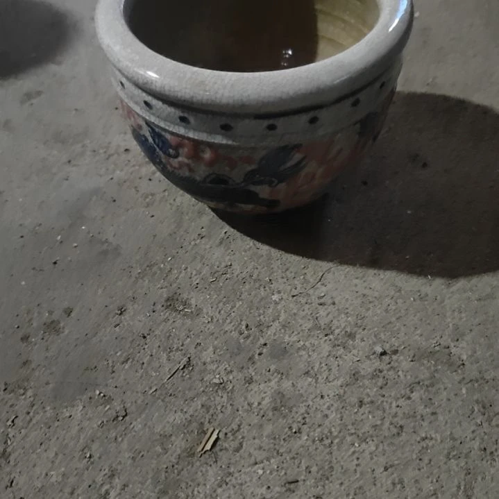 瓷片好好好好好好好好好好好: