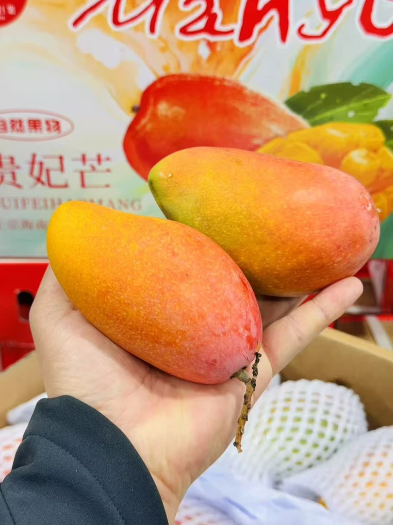 空运贵妃芒4斤装