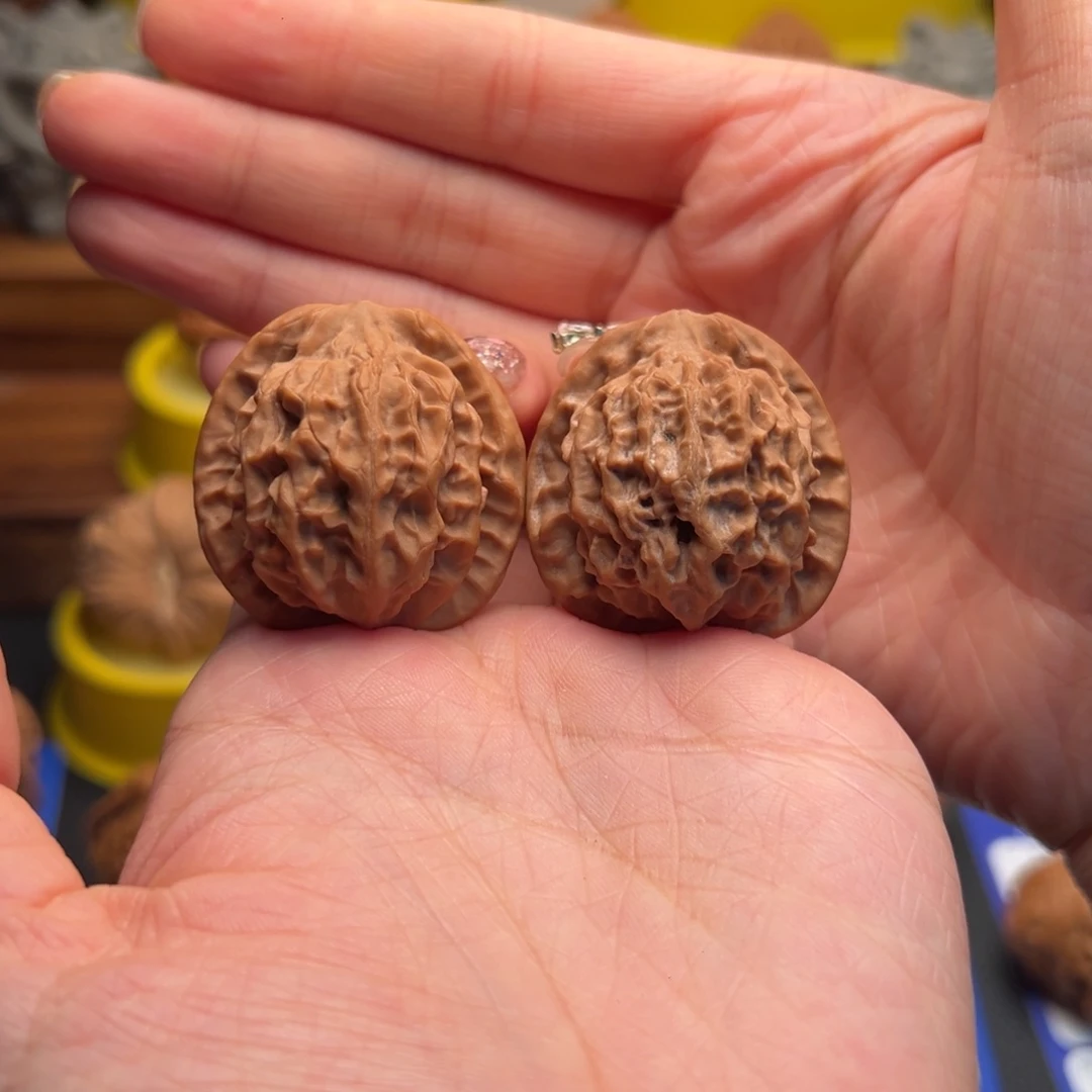 核桃04秦公子35尺