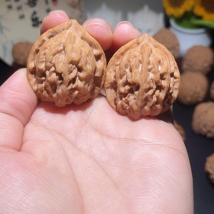 文玩核桃把件34郁金香野生