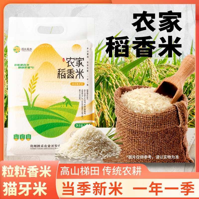 园礼稻乡高山猫牙米农家大米正宗贵州高山梯田 2025 新米现磨现发