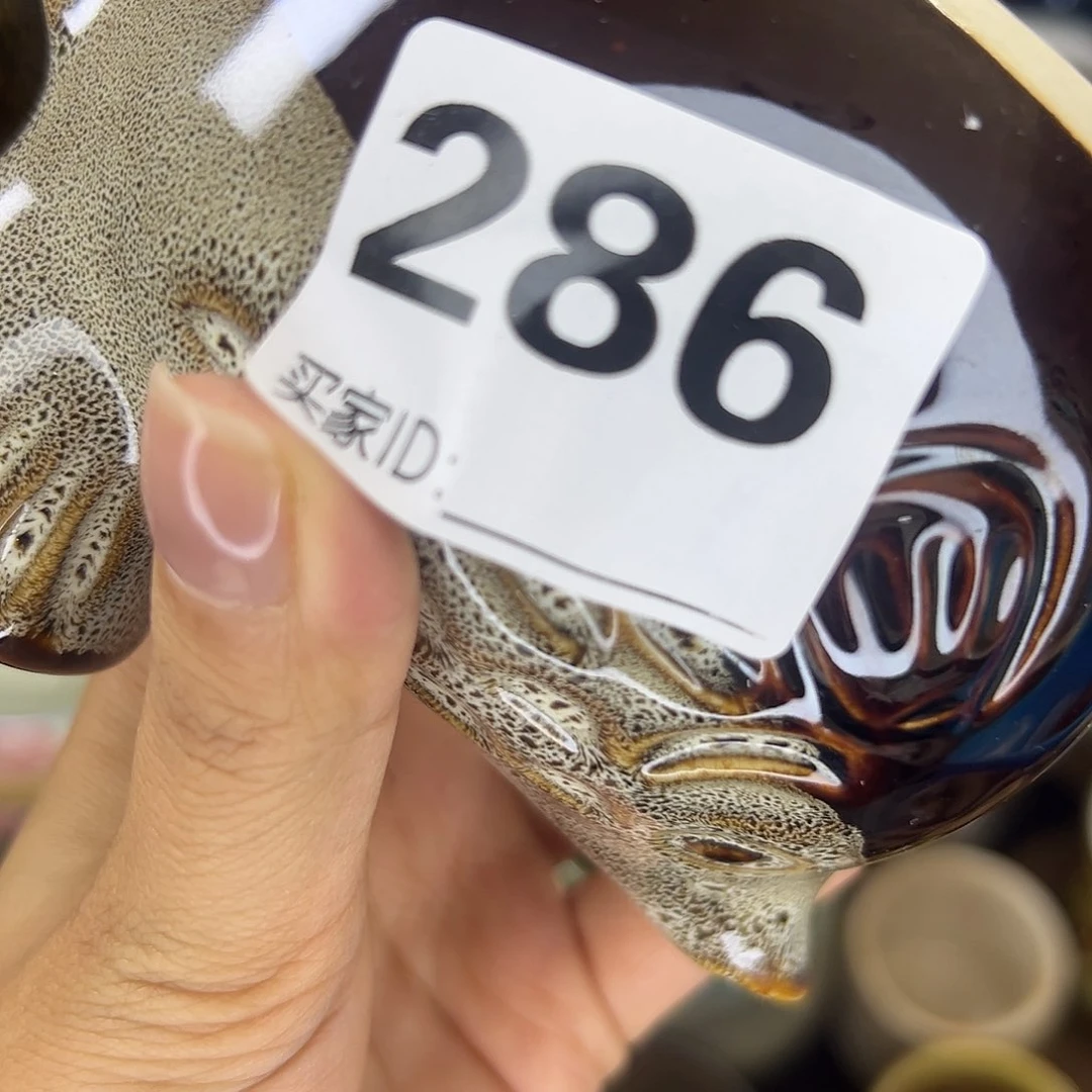 ༺****༻Assssssssssssss