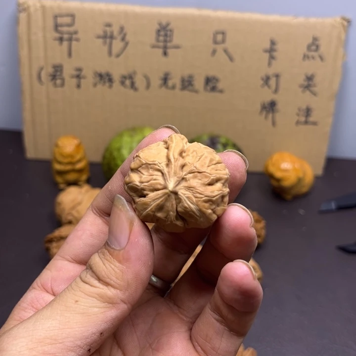小***、菩提籽类蛤蟆头一棱角