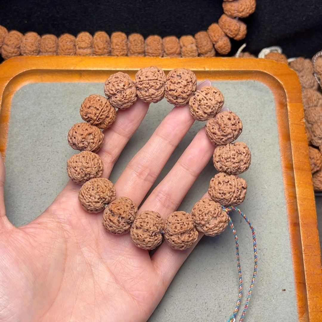 菩提35号金刚菩提安娜蜂王20