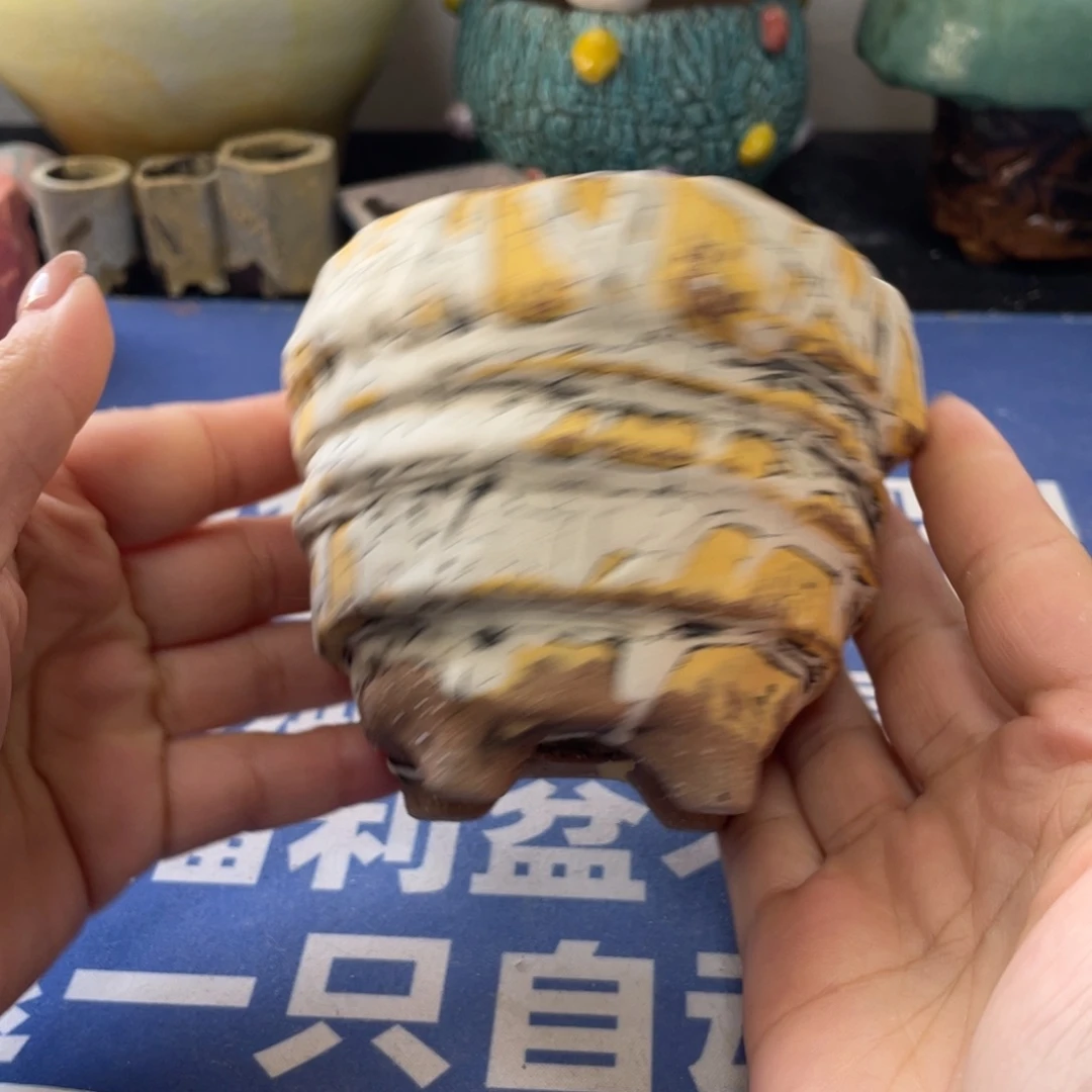 微瑕陶艺多肉花盆182