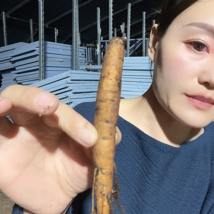 当前无花栽培后可以开花典雅香槟1芽