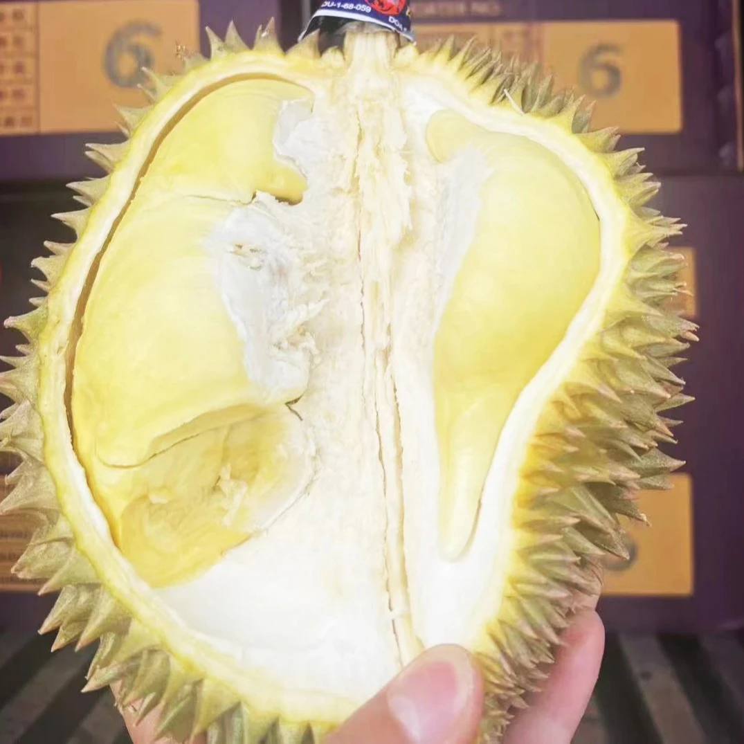 新鲜金枕榴莲19.9元一斤果核小同城配送金枕泰国越南