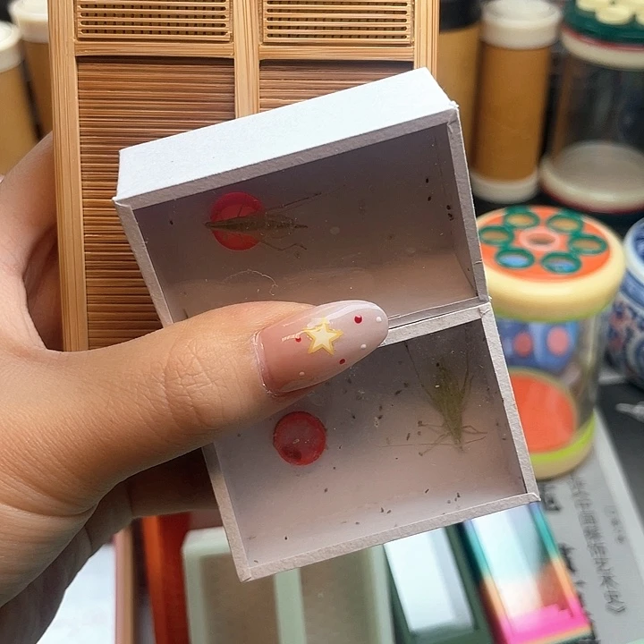 双格卷帘门赠送两条竹蛉