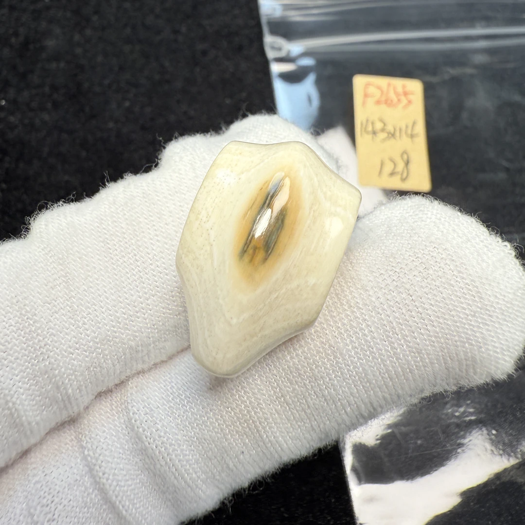 F2655猛犸象牙冰料果冻料鲨鱼背三通14.3*14mm