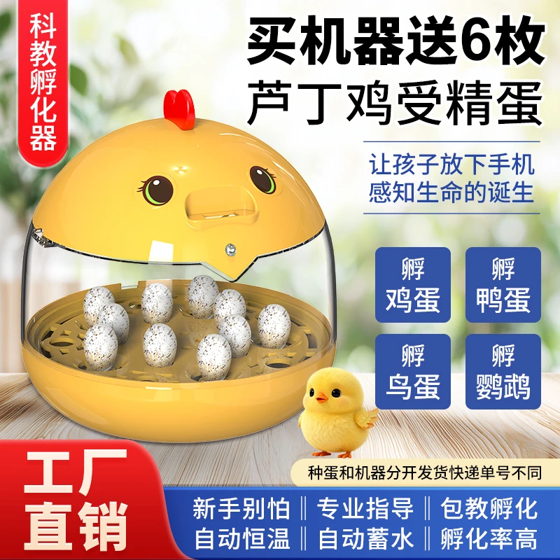 送种蛋科教孵化器小型家用全自动控温恒温孵化箱芦丁鸡儿童孵蛋器
