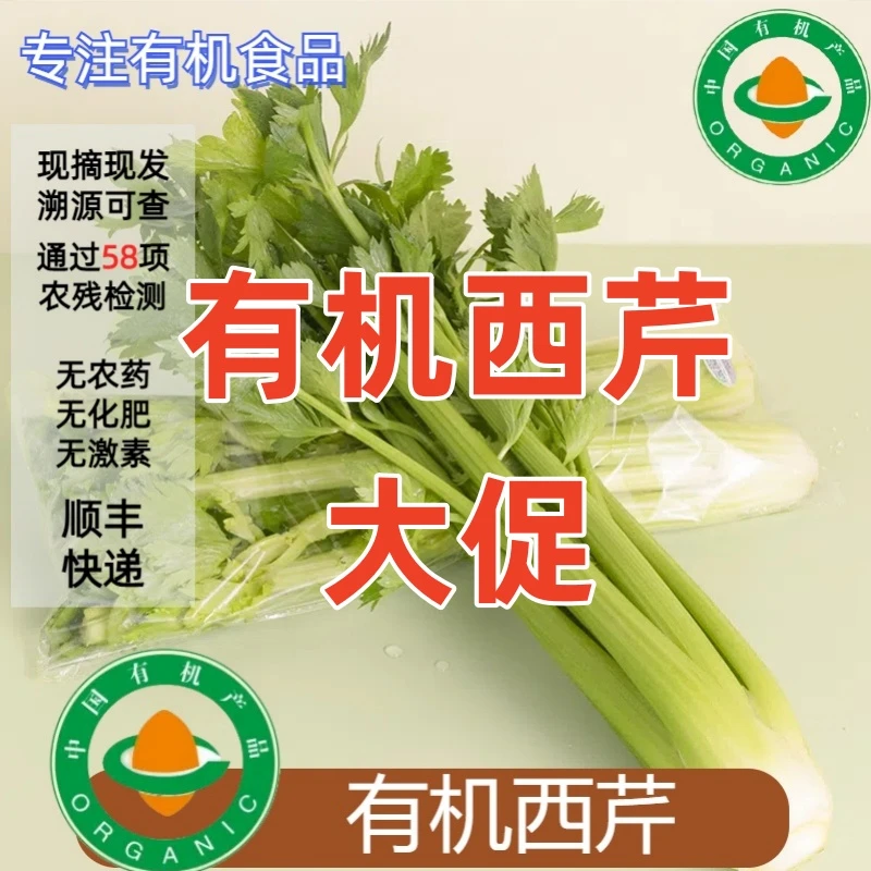 现挖有机西芹 无农残可生榨汁新鲜时令蔬菜可溯源当季芹菜顺丰