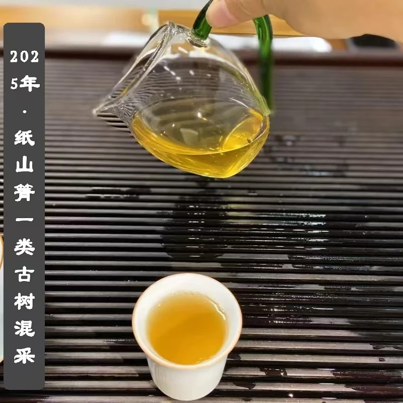 【副支书严选】新茶交友款：纸山箐2025年古树头春混采，生普散料。