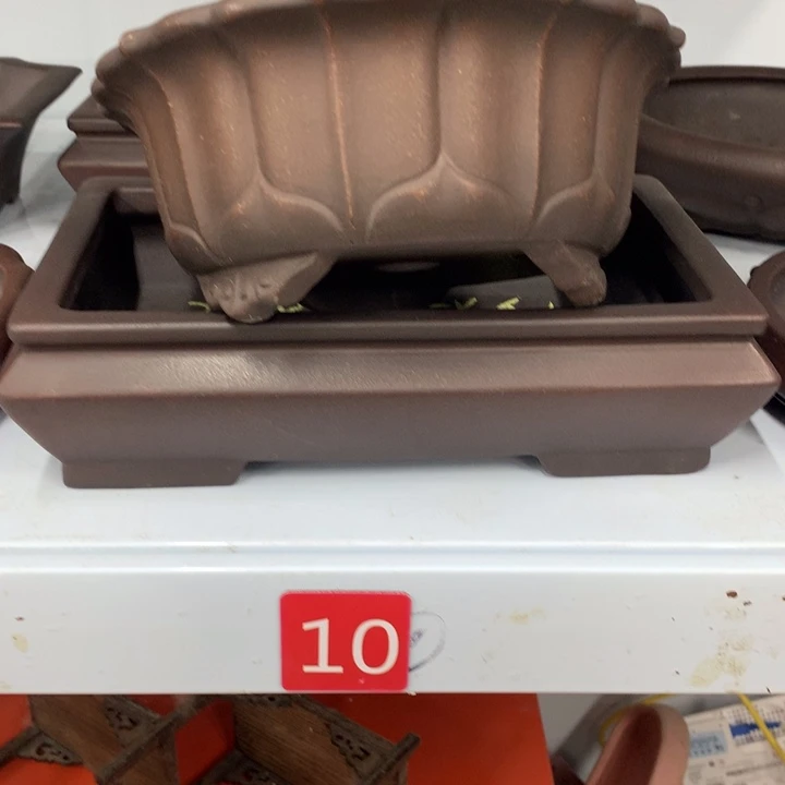 紫砂花盆母*光紫砂花盆