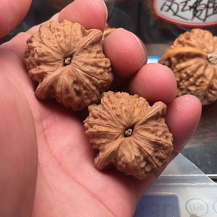 文玩核桃把件血麒麟