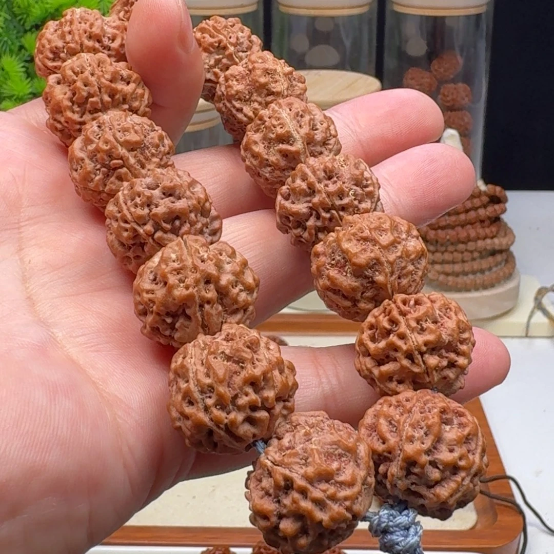 手串金刚菩提五星蜂王