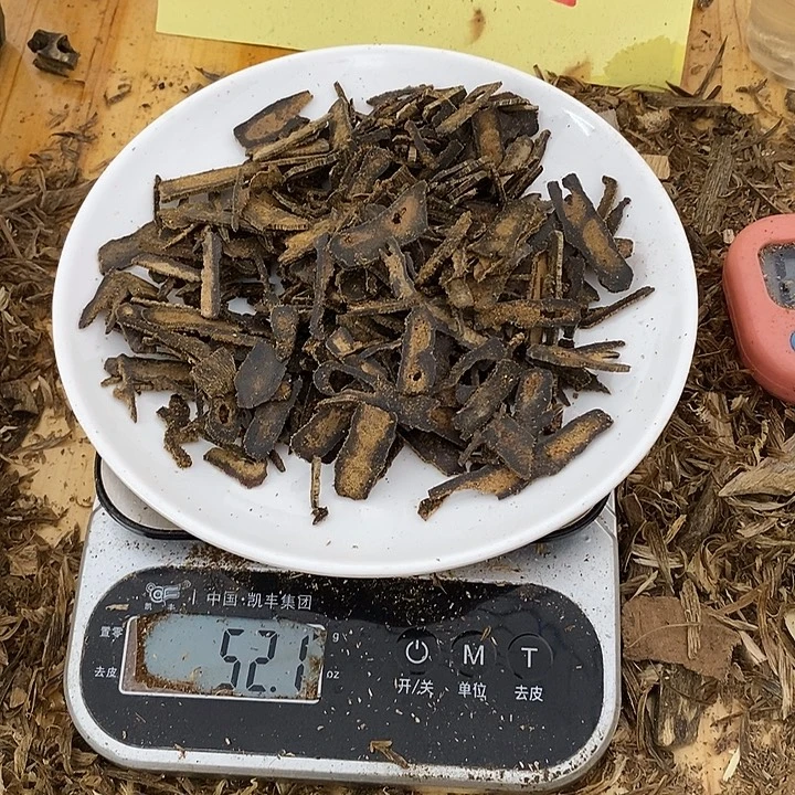 沉香沉香碎屑海南乌身圆叶棋楠沉香切片52克