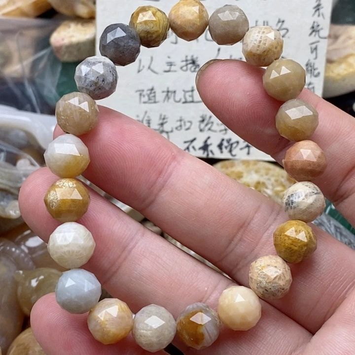 硅化珊瑚（珊瑚玉）未镶嵌颈饰