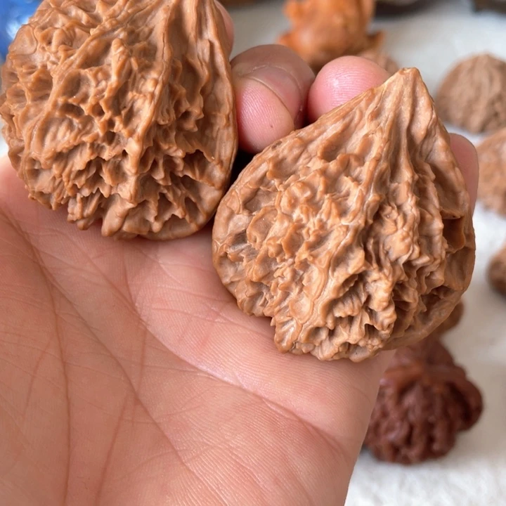 核桃其他北**海秦岭核桃秦鸡