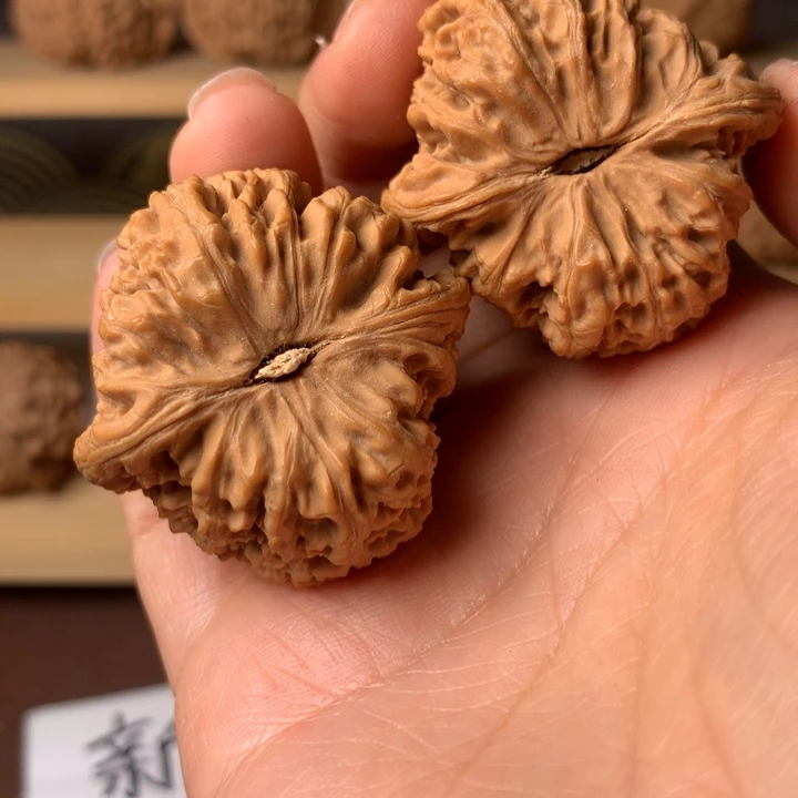 可***乐大叶紫檀（黑酸枝木类）南疆5多年历史中形成规模