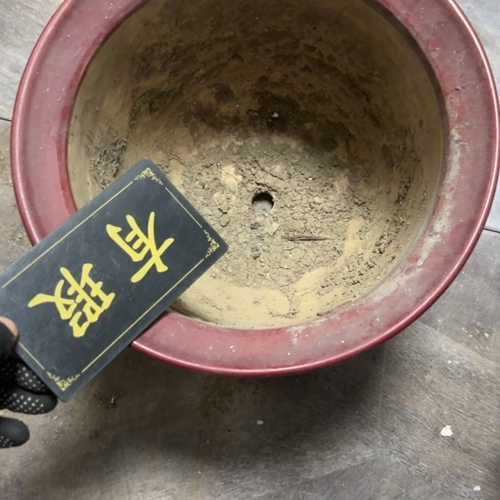 瓷片探*者拾六家的瓷器瓷器