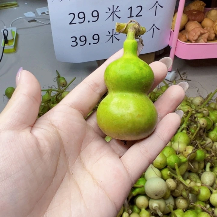 葫芦中国大陆娜**福