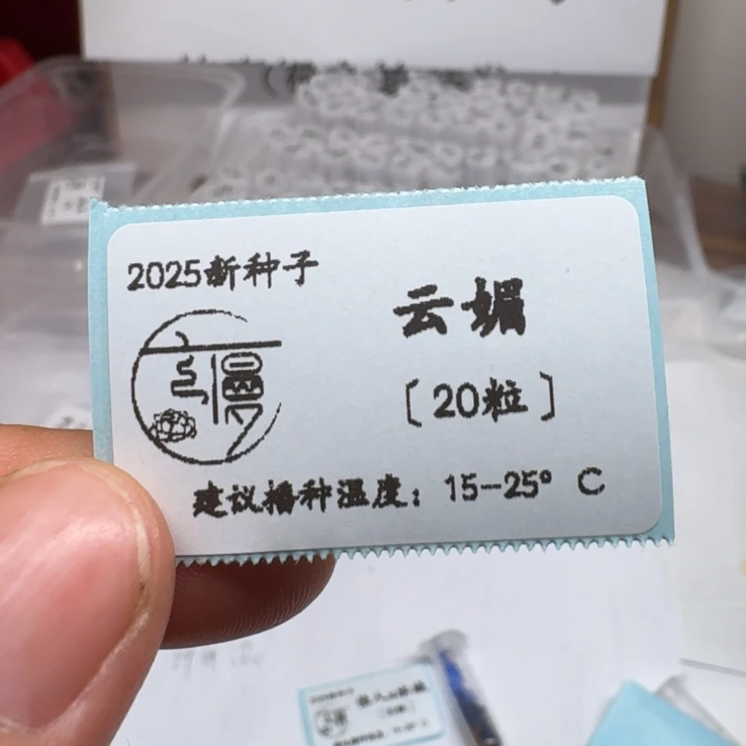 糖心方向“云媚”种子20粒不包出芽率