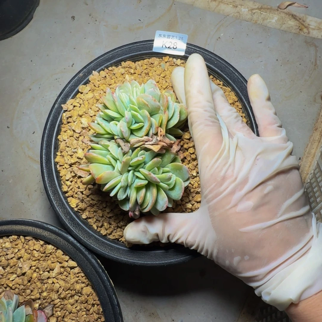 k k k k k k k k k k k 28