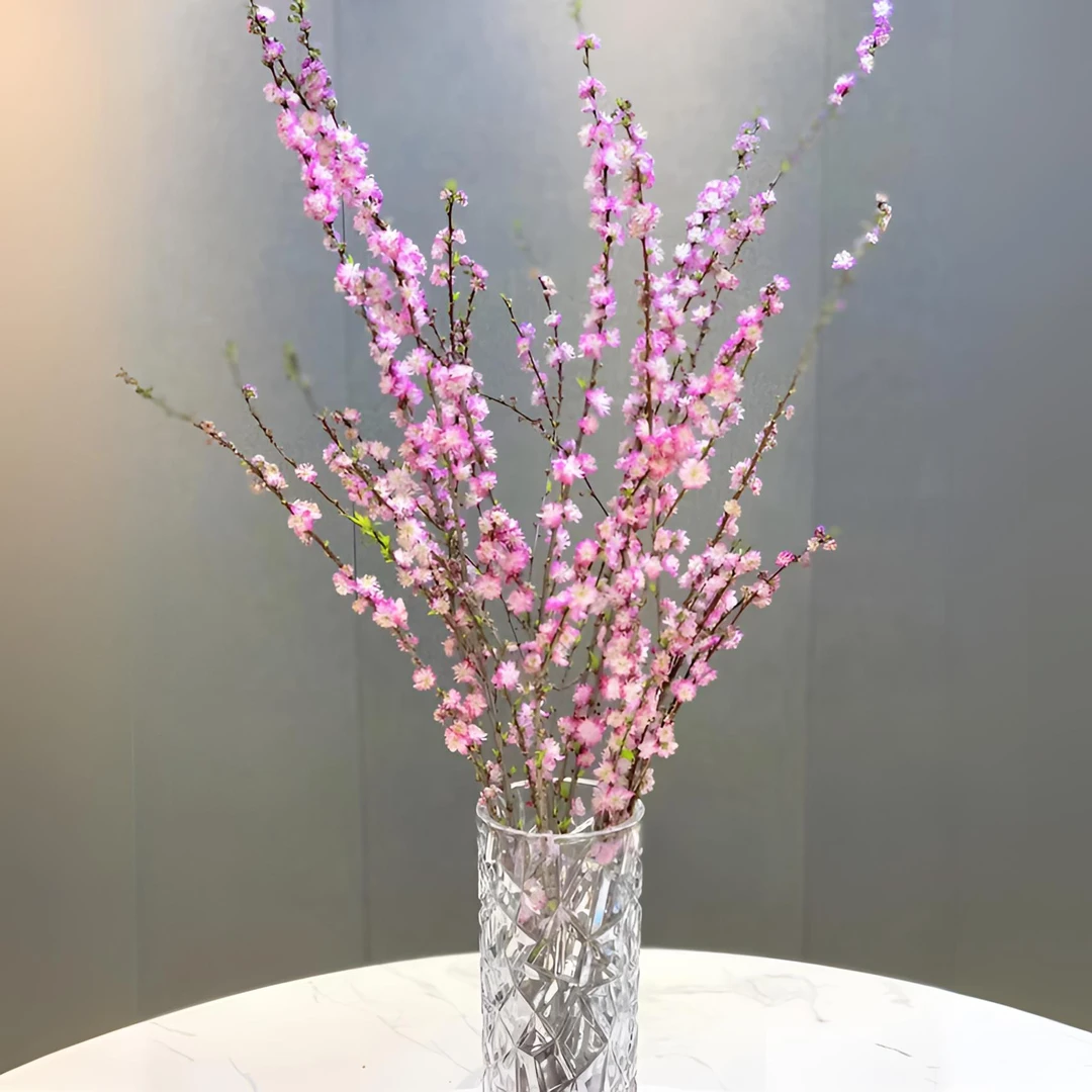 【秦小胖】珍珠李 樱花干支 深水爆花 （注意：特殊花材，收到醒花）