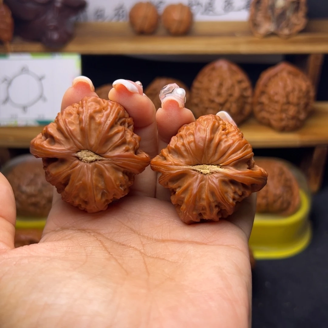 ****咪桃核把件白狮子福利