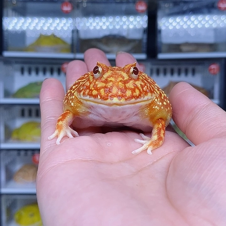 特价秒杀现货特价