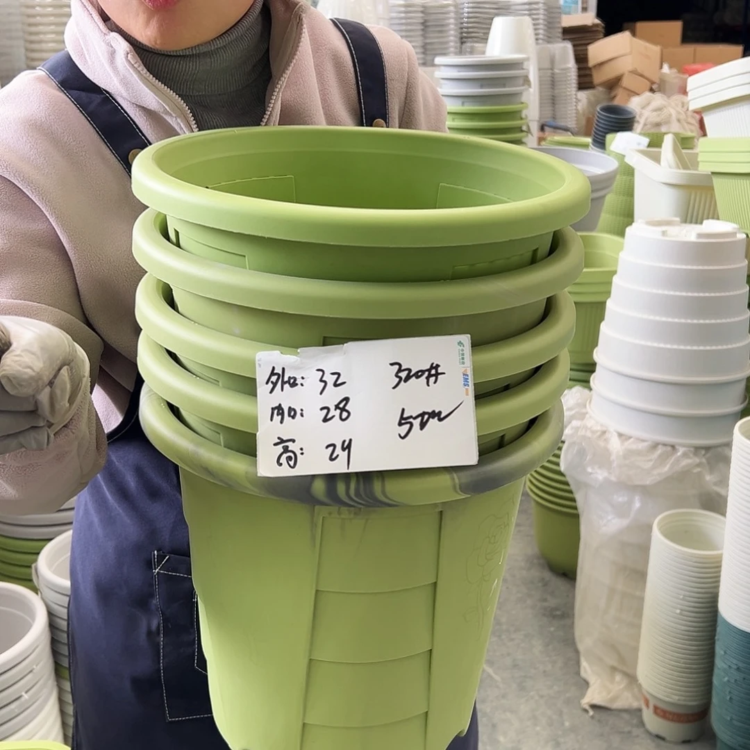 瑕疵玫瑰320#果绿色5个无托