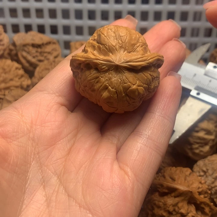 烁***哥把件文玩核桃核桃