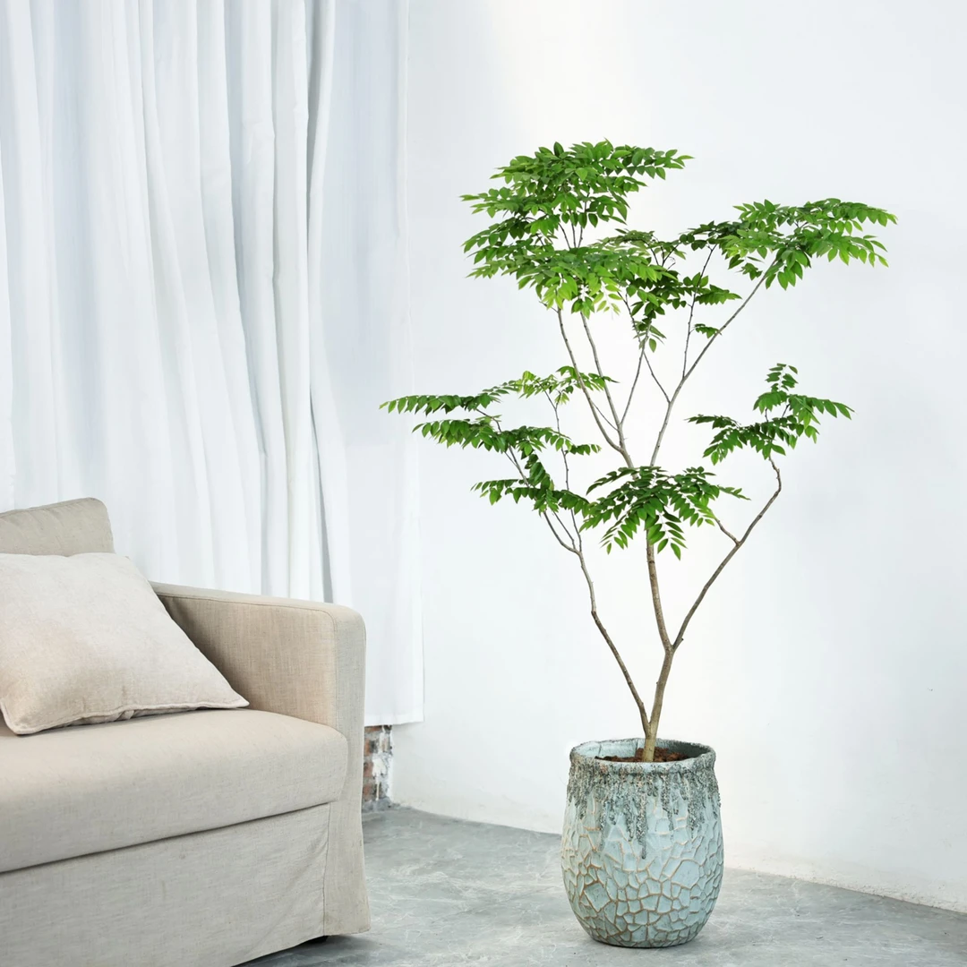 镁泥花盆自然艺术客厅商场室内外落地北欧特大型号绿植盆栽镁泥盆