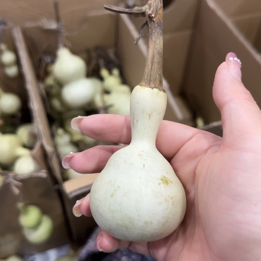 汝***也葫芦桂花糕桂花酒古古惑惑
