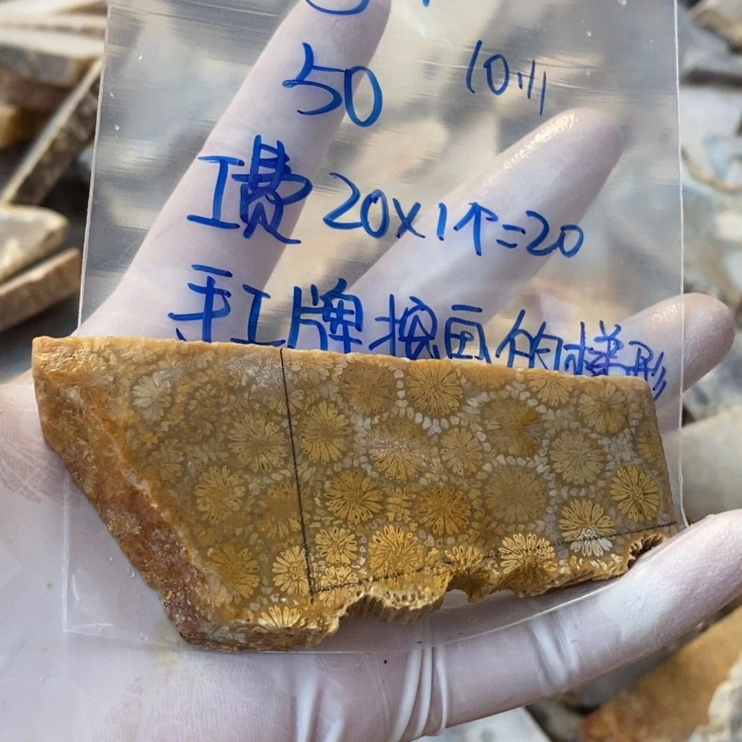 【闪购商品】未镶嵌珊瑚玉硅化玉b**b