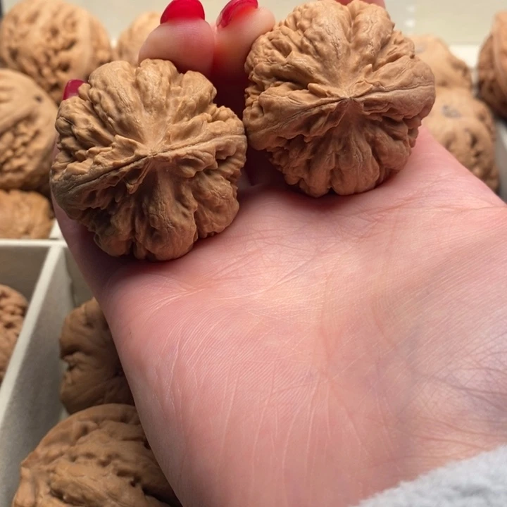 上***件文玩核桃把件霸王龙