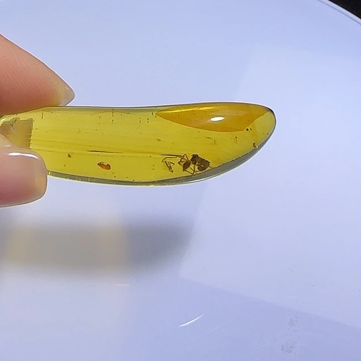 朝***寜琥珀未镶嵌手镯琥珀蜜蜡
