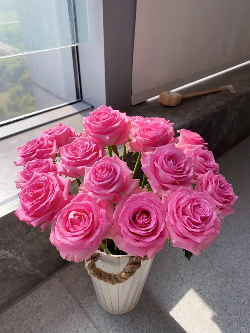 鲜花   苏醒玫瑰  任意两单包邮