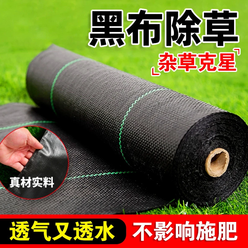 黑布除草防草布加厚农用塑料大棚园艺种植遮草抑草布地钉果树
