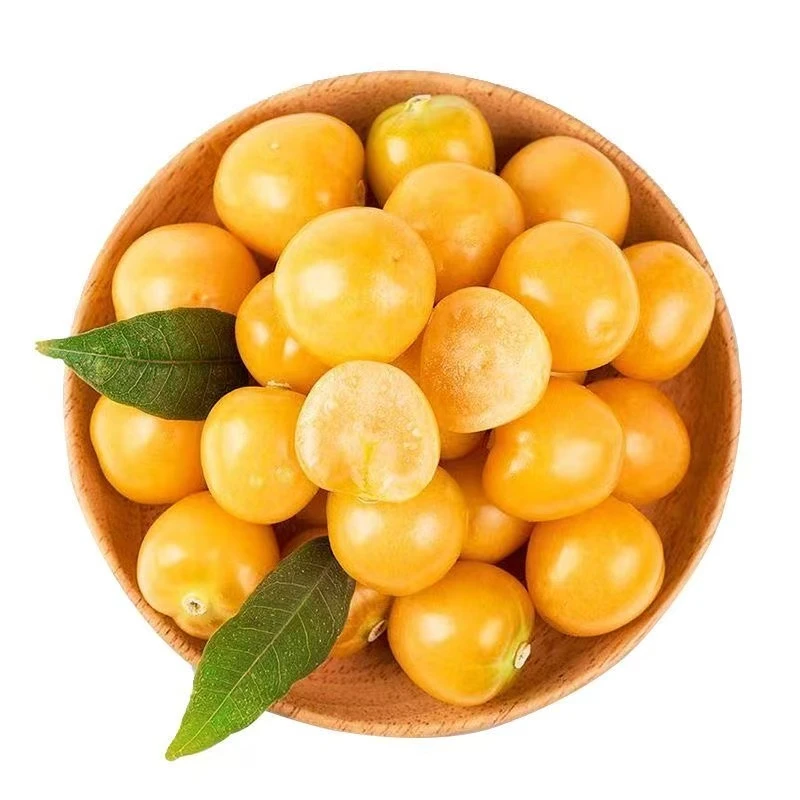 【大果】东北姑娘果灯笼果新鲜清甜多汁当季稀有特产水果