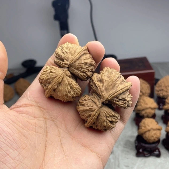 文玩核桃吊坠白狮子连体 熟的嫩