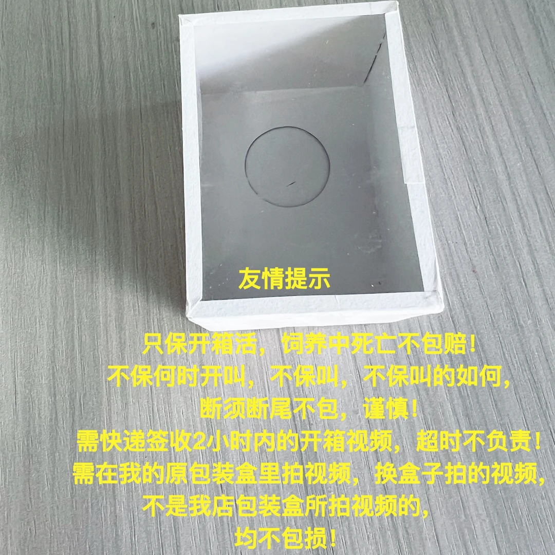 绿蝈蝈纸盒翡翠蝈蝈纸盒玩具纸盒（断须瘪眼不包）