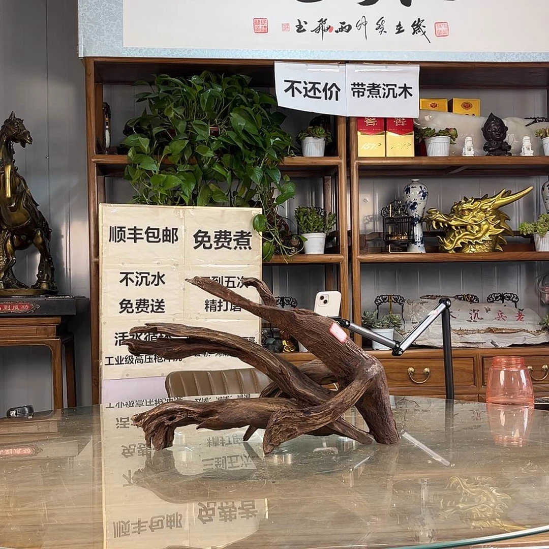 紫砂紫柚木Y*一木成景