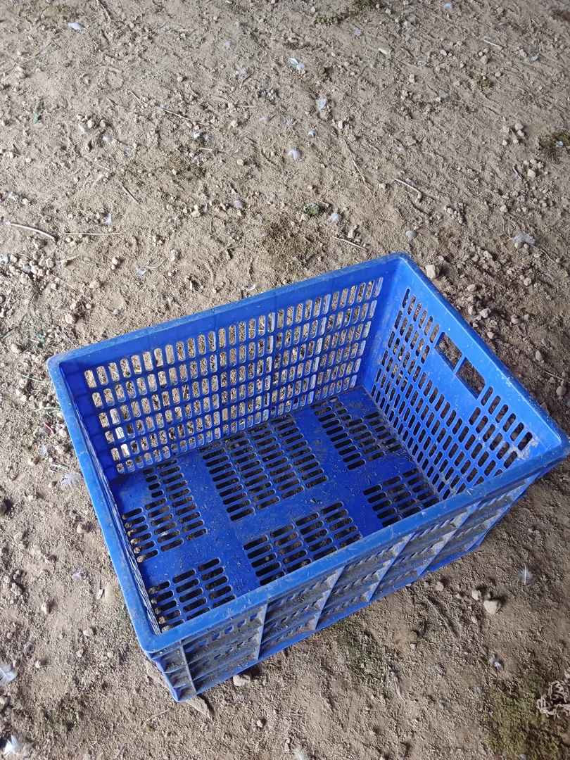 长方形蓝色镂空塑料筐，狮头鹅周转筐