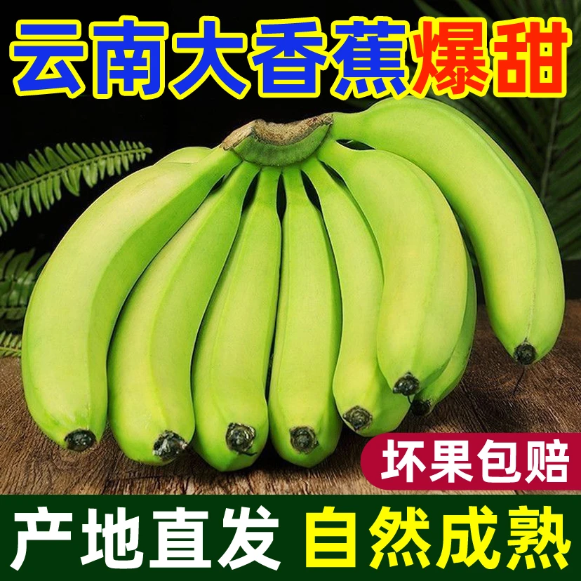 现摘高山甜香蕉带箱10斤当季新鲜水果产地直发青皮整箱包邮自然熟