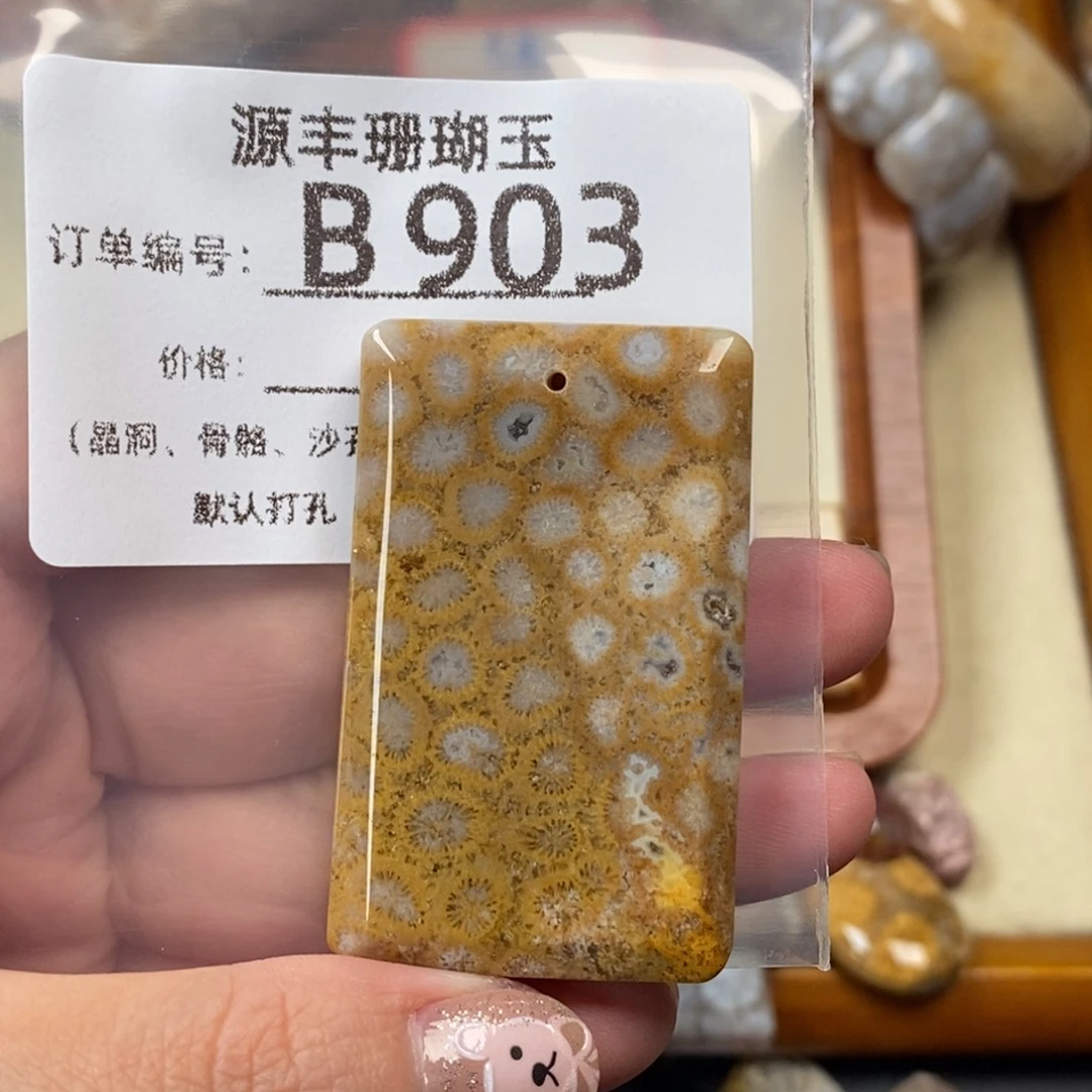 捡****未镶嵌颈饰硅化玉